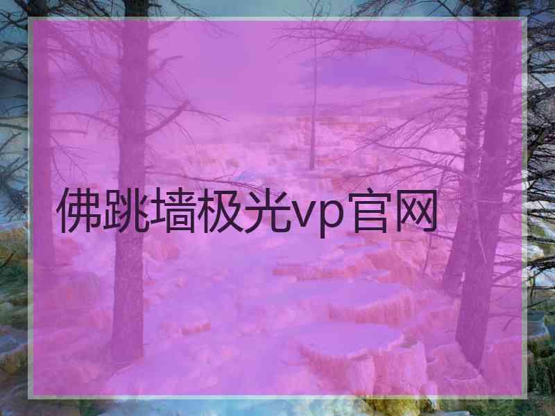 佛跳墙极光vp官网