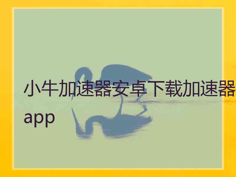 小牛加速器安卓下载加速器app