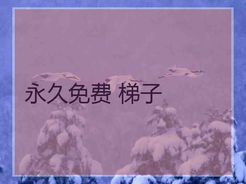 永久免费 梯子