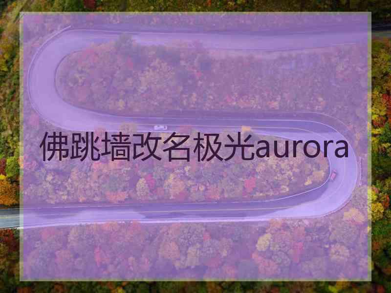 佛跳墙改名极光aurora