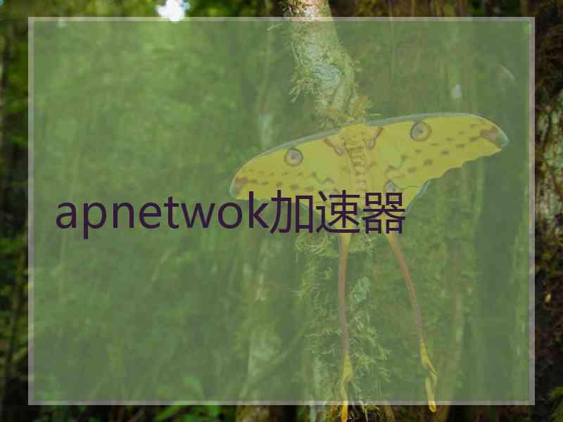 apnetwok加速器