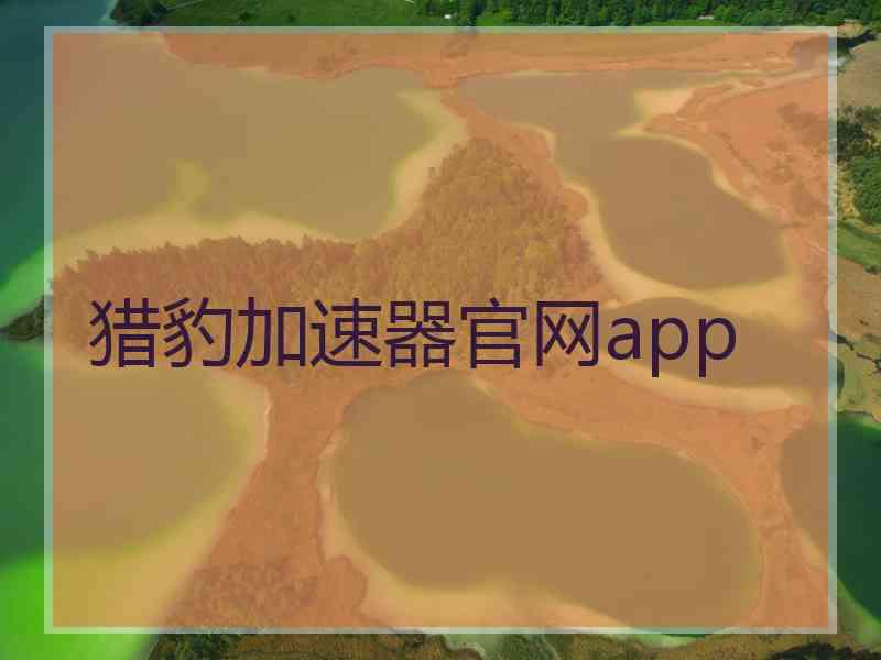 猎豹加速器官网app