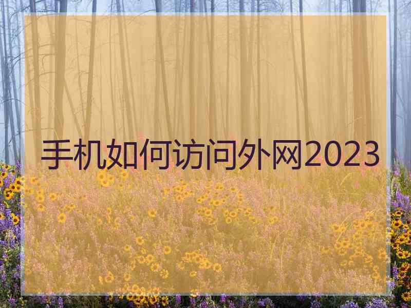 手机如何访问外网2023