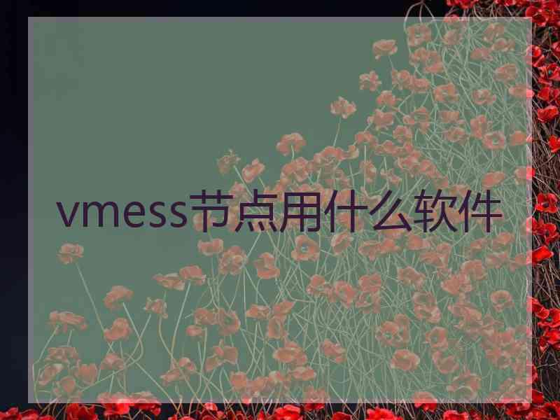 vmess节点用什么软件