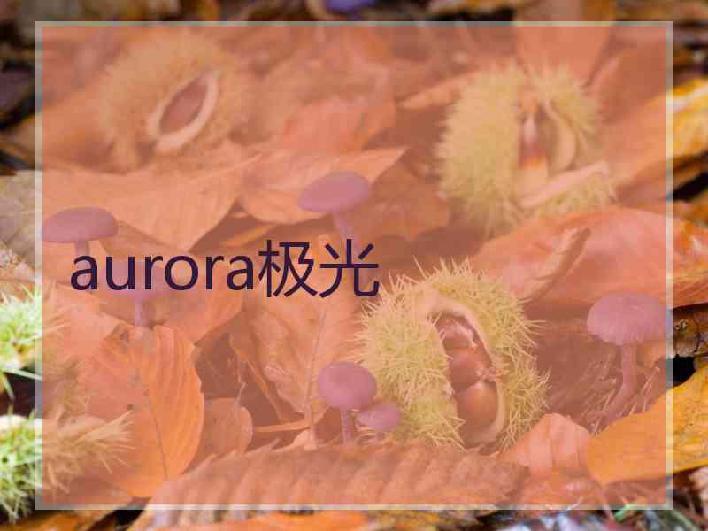 aurora极光