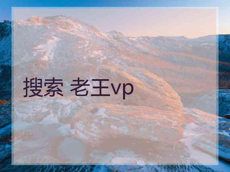 搜索 老王vp