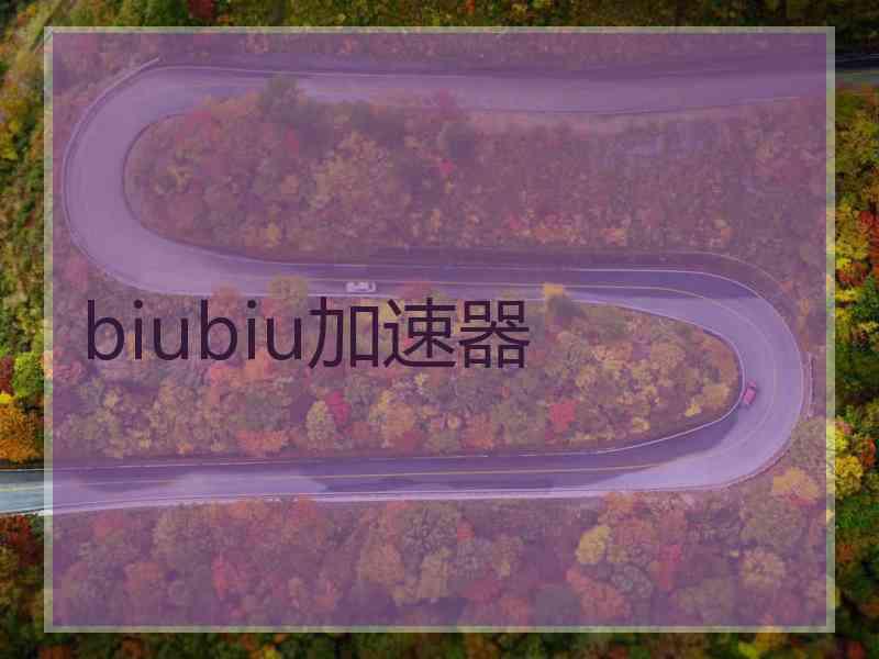 biubiu加速器