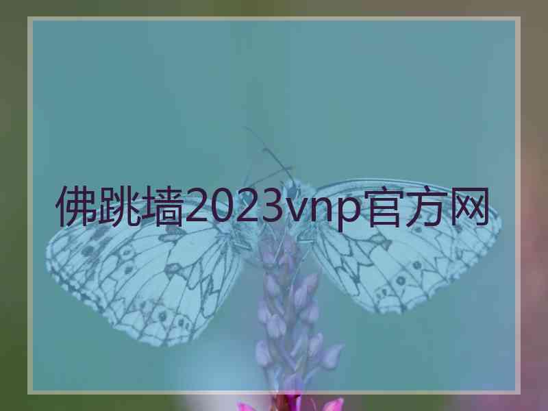 佛跳墙2023vnp官方网