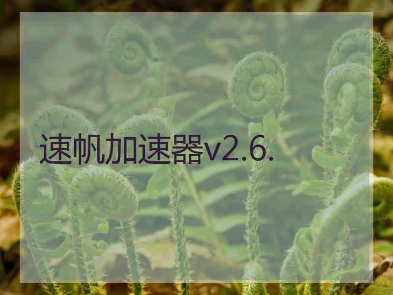 速帆加速器v2.6.