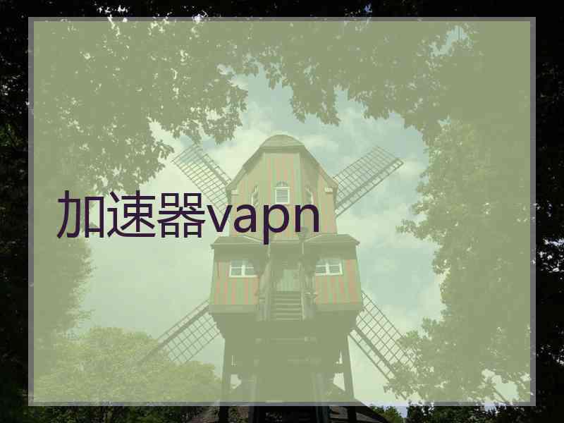 加速器vapn