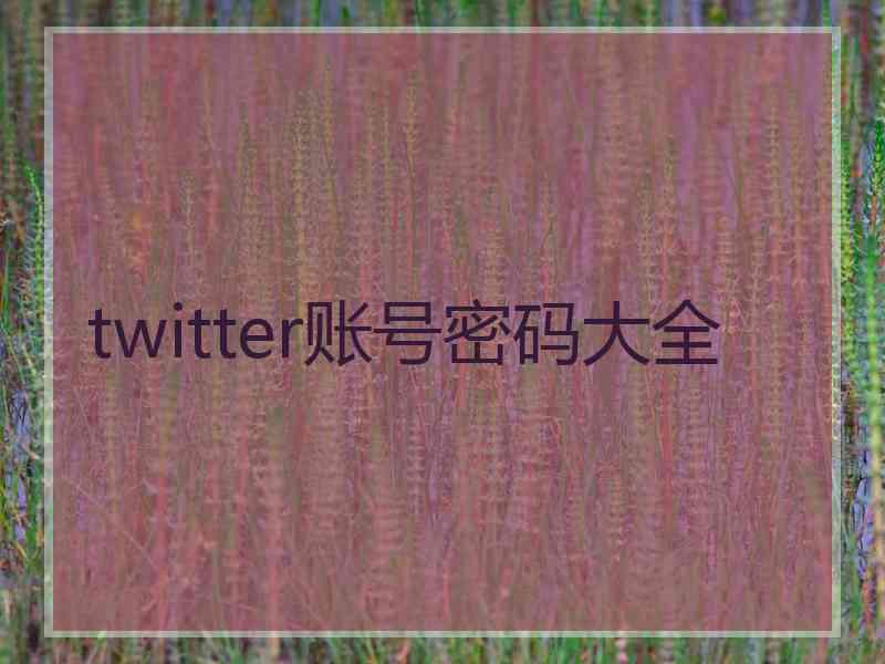 twitter账号密码大全