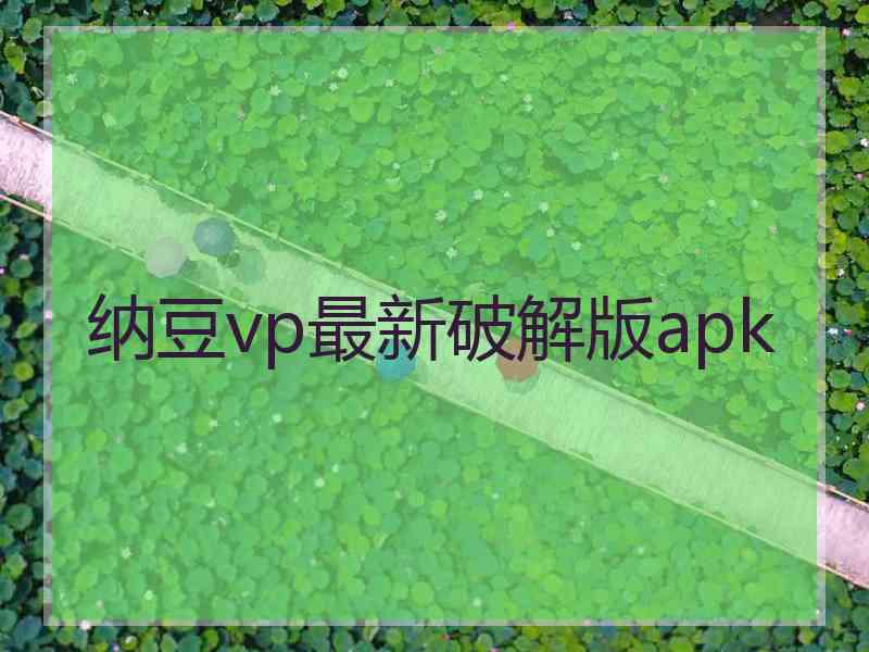 纳豆vp最新破解版apk