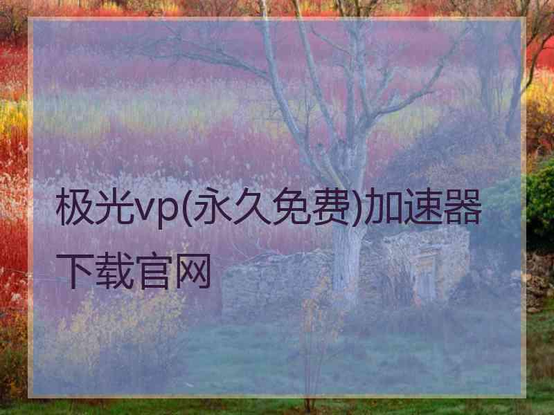 极光vp(永久免费)加速器下载官网