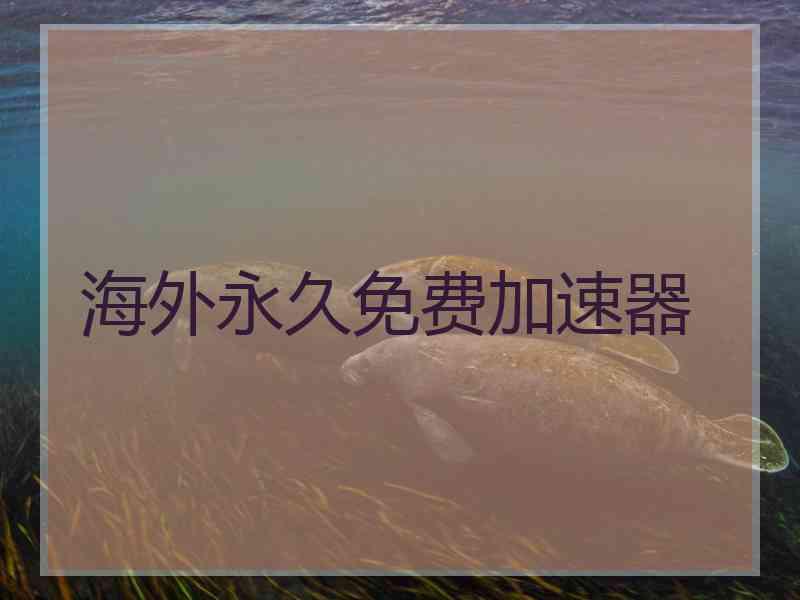 海外永久免费加速器