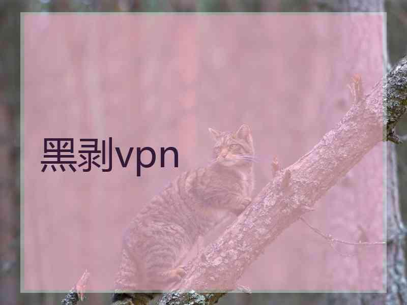 黑剥vpn