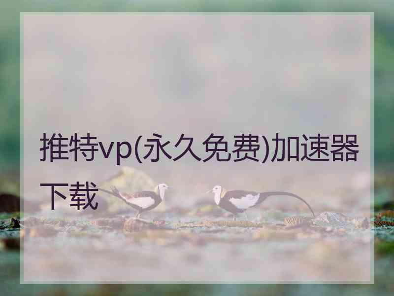 推特vp(永久免费)加速器下载