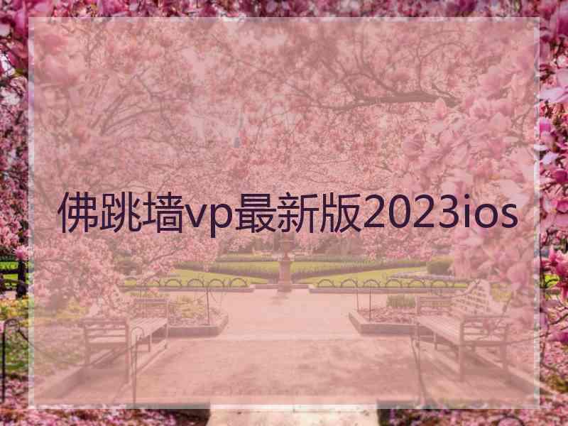 佛跳墙vp最新版2023ios