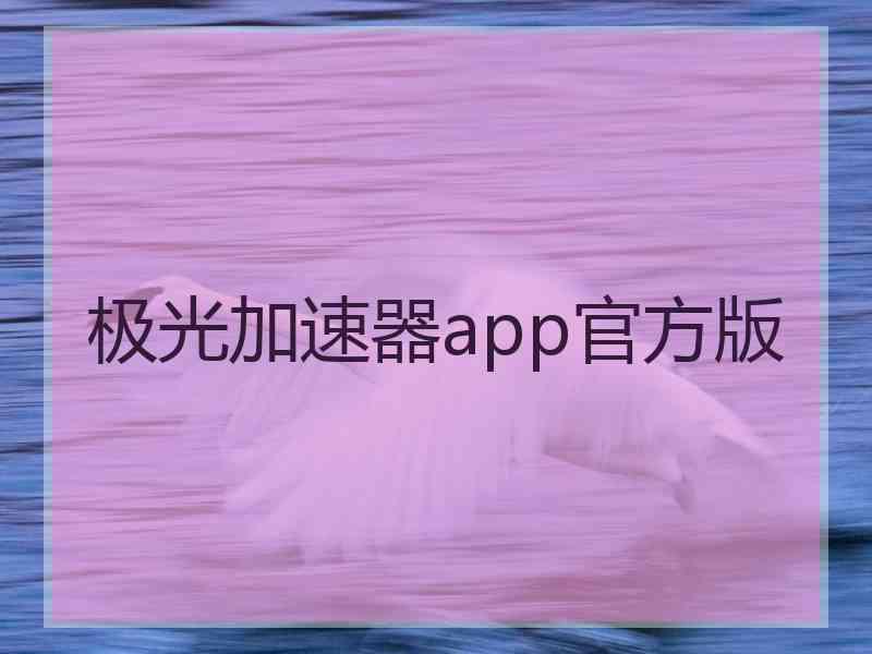 极光加速器app官方版