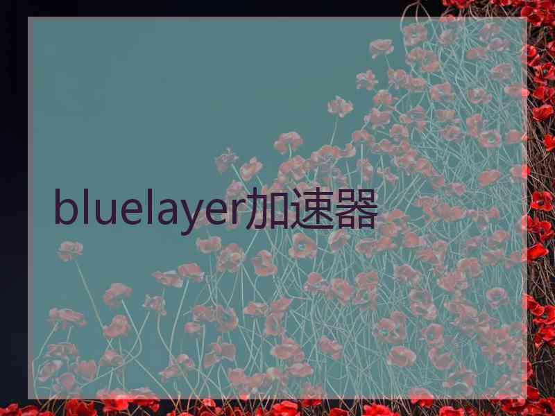 bluelayer加速器