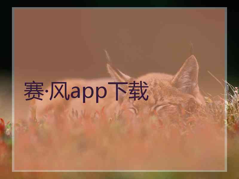 赛·风app下载