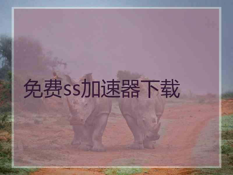 免费ss加速器下载