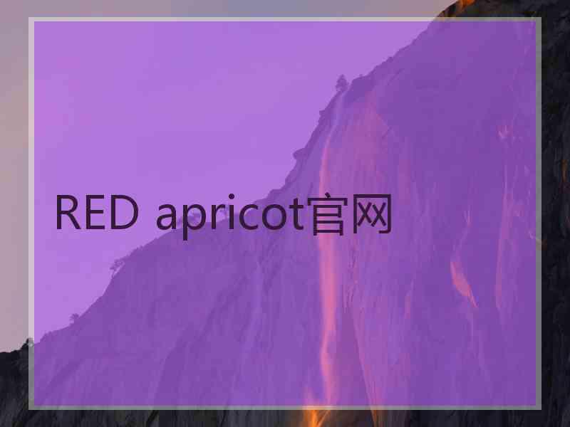 RED apricot官网