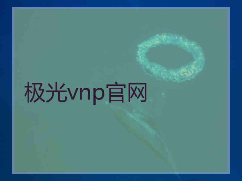 极光vnp官网