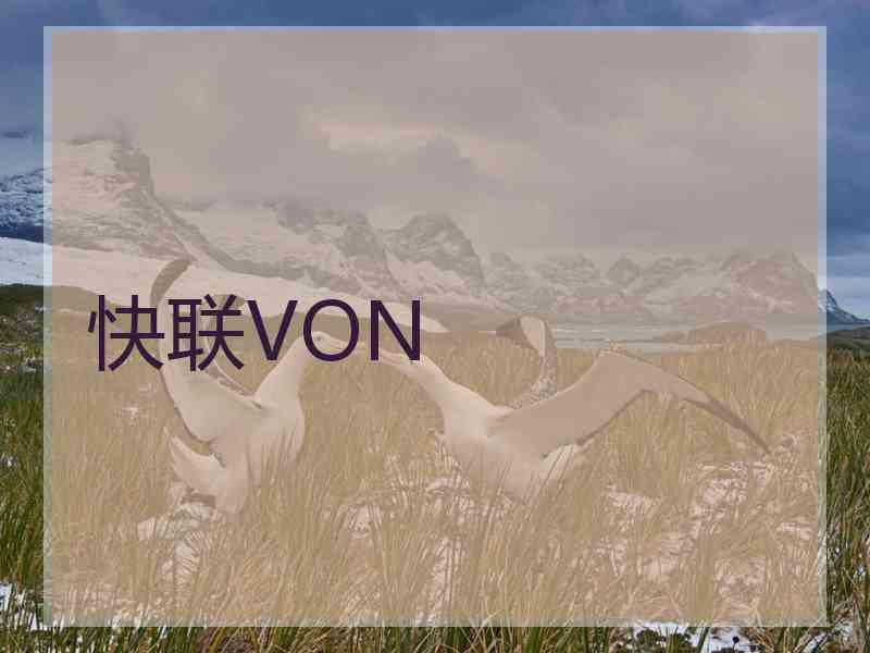 快联VON