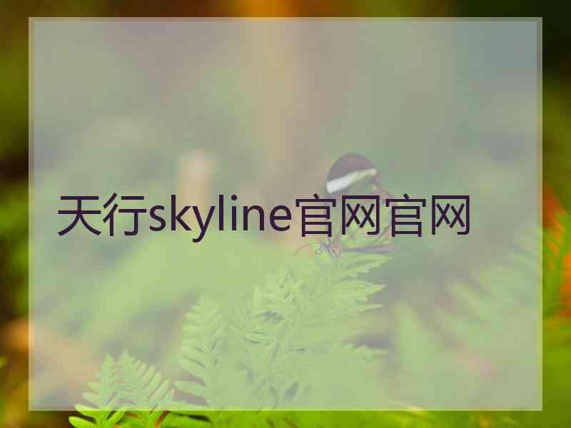 天行skyline官网官网