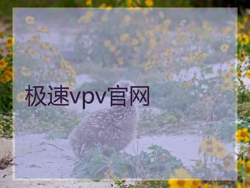 极速vpv官网