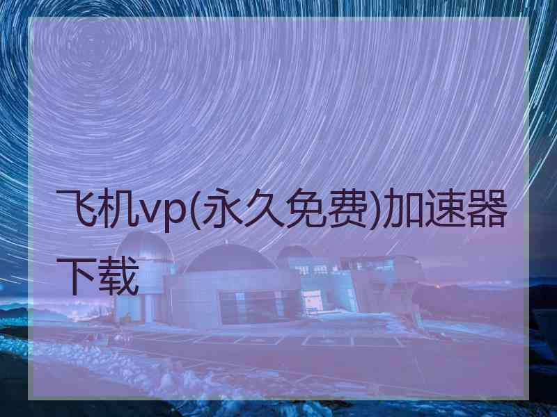 飞机vp(永久免费)加速器下载