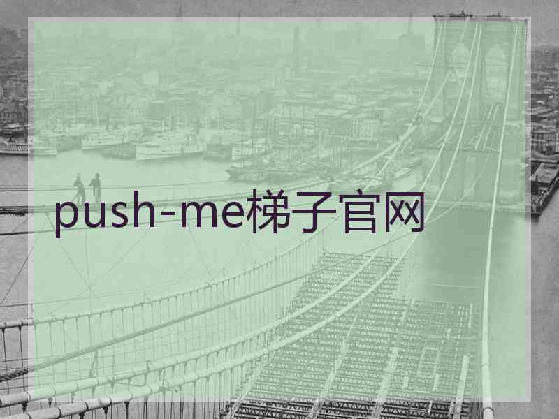 push-me梯子官网