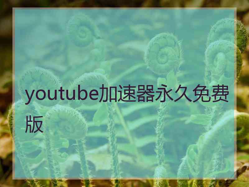 youtube加速器永久免费版