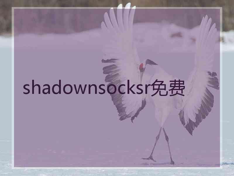 shadownsocksr免费