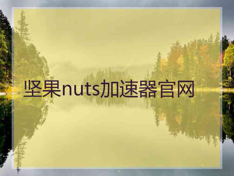 坚果nuts加速器官网