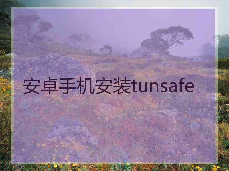 安卓手机安装tunsafe