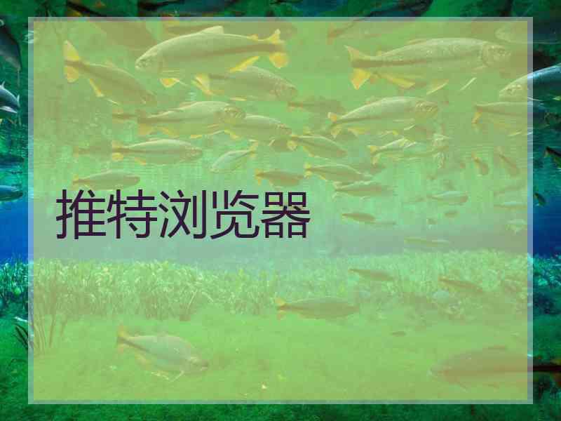 推特浏览器