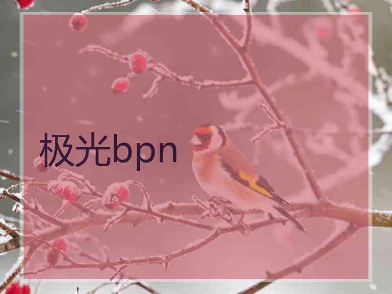 极光bpn