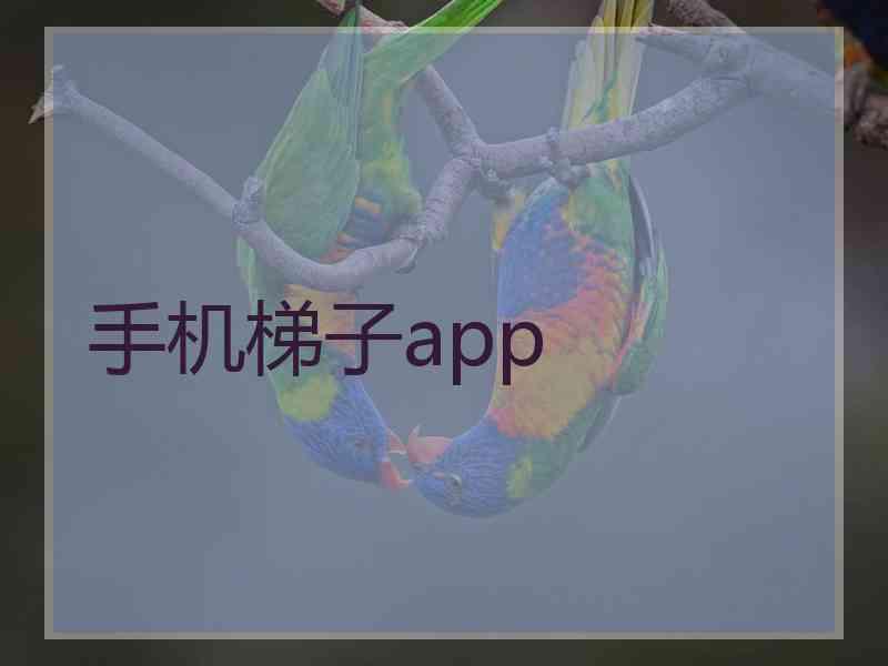 手机梯子app