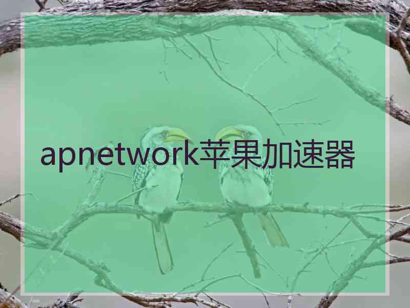 apnetwork苹果加速器