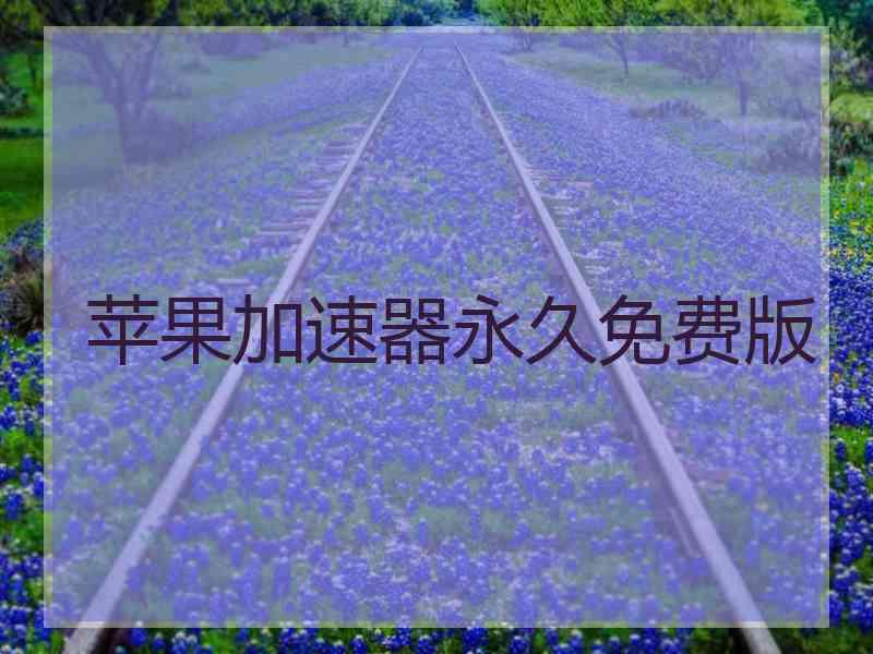 苹果加速器永久免费版