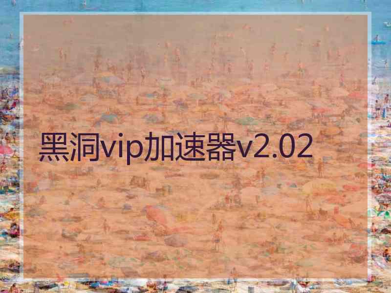 黑洞vip加速器v2.02