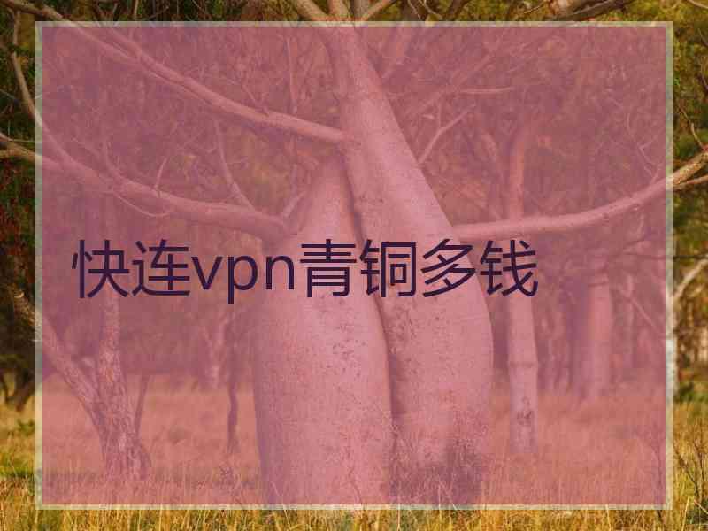 快连vpn青铜多钱