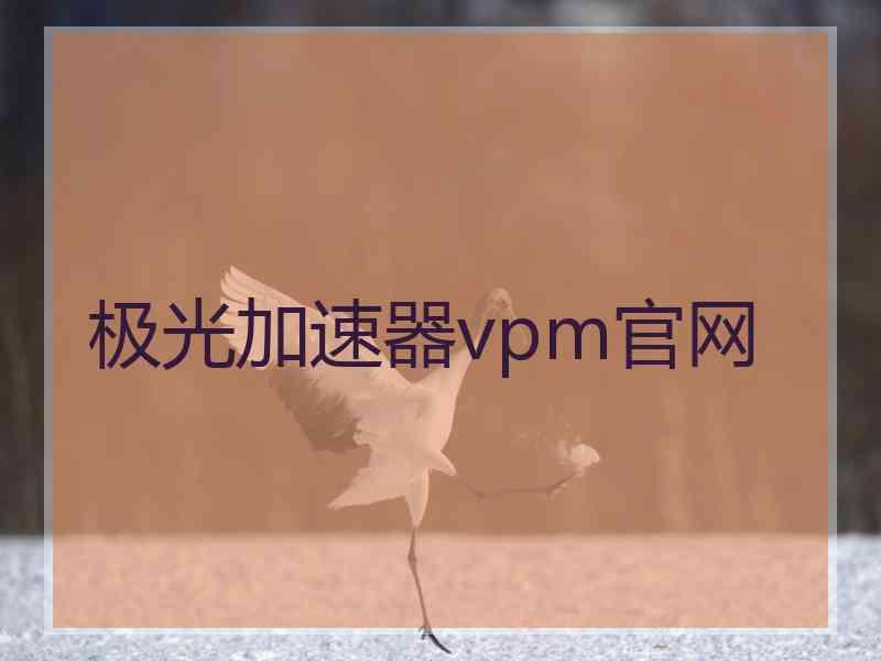 极光加速器vpm官网