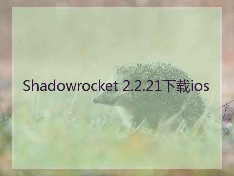 Shadowrocket 2.2.21下载ios