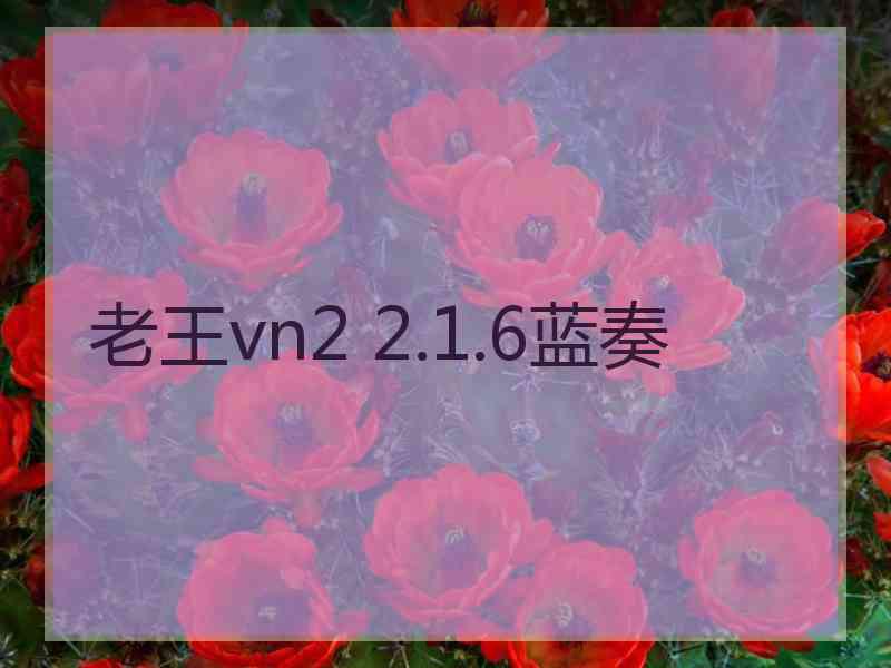 老王vn2 2.1.6蓝奏