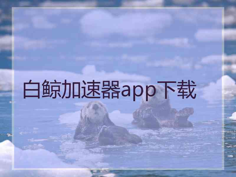 白鲸加速器app下载