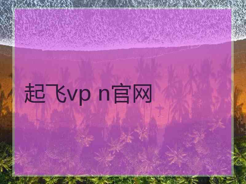 起飞vp n官网