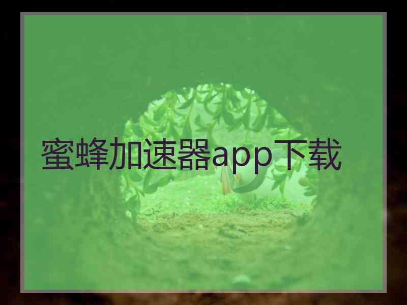 蜜蜂加速器app下载