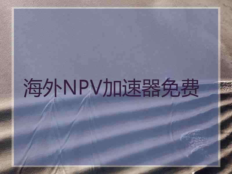 海外NPV加速器免费